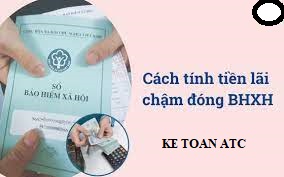 Hoc ke toan cap toc o thanh hoa Nếu bạn chậm đóng tiền bảo hiểm bạn sẽ phải chịu phạt, vậy cách tính alxi nộp chậm và truy thu thế nào?