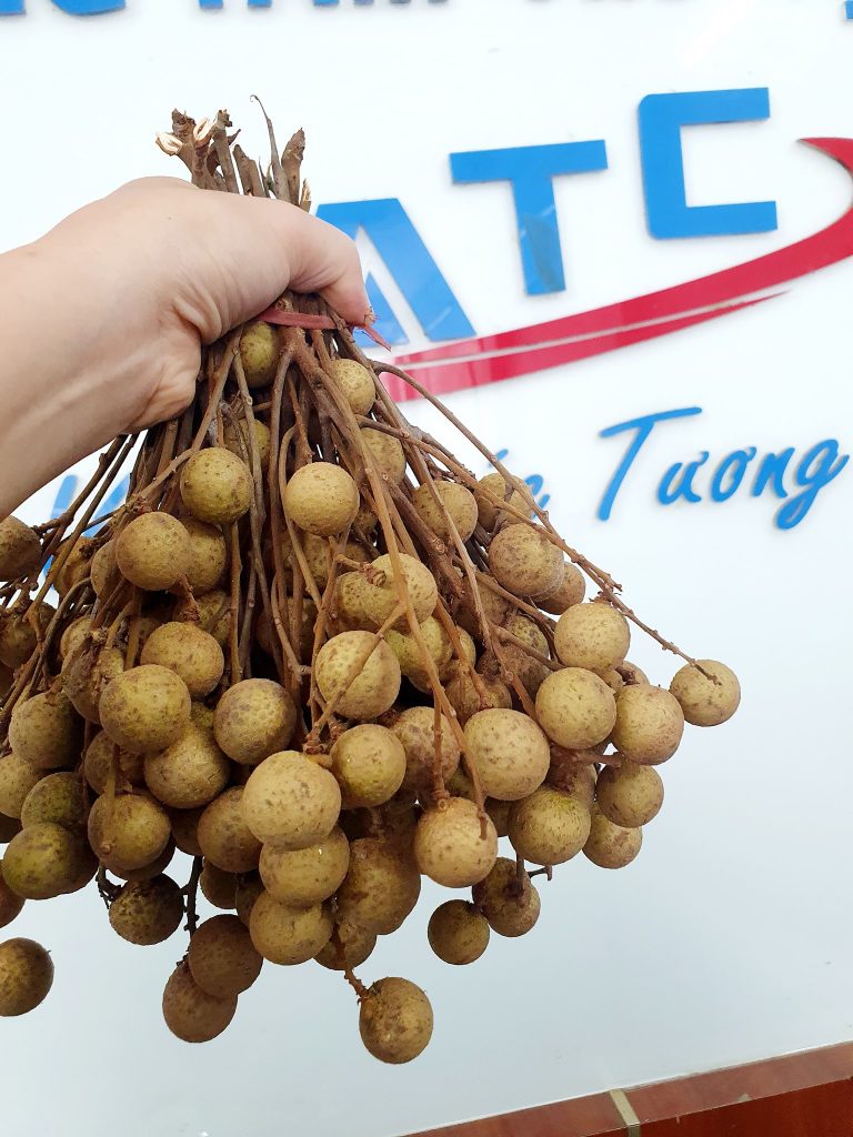 Học tin học tại Thanh Hóa