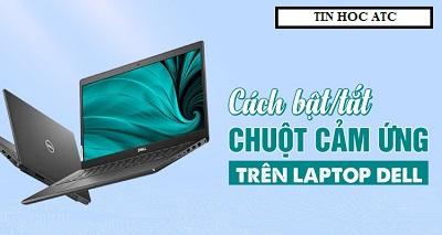 Hoc tin hoc tai thanh hoa Bạn muốn tắt chuột cảm ứng trên laptop, hãy tham khảo bài viết sau đây nhé! Mời các bạn theo dõi bài viết :