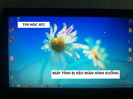 Học tin học ở thanh hóa Bạn đã từng gặp tình trạng màn hình tự kéo xuống cuối trang? Vậy nguyên nhân do đâu? Chúng ta cùng tìm hiểu nhé!