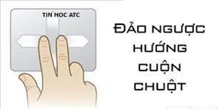 Học tin học văn phòng ở Thanh Hóa Làm sao để đảo chiều cuộn chuột trên windowws 11? Tin học ATC xin chia sẽ cách làm trong bài viết dưới đây