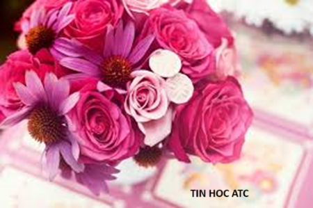 Học tin học tại thanh hóa “Anh hùng, bất khuất, trung hậu, đảm đang”Đó là tám chữ vàng dành cho người phụ nữ Việt Nam, là một