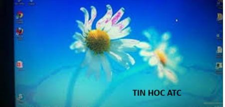 Hoc tin hoc tai thanh hoa Màn hình máy tính xuất hiện ô vuông trong suốt, làm sao bây giờ? Mời bạn tham khảo bài viết dưới đây để biết
