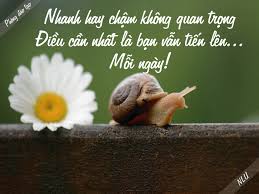 Hoc tin hoc tai thanh hoa "Không quan trọng là nhanh hay chậm, quan trọng là bạn vẫn tiến lên mỗi ngày"Câu nói này là lời nhắc nhở sâu sắc