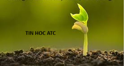 Học tin học thực hành ở thanh hóa “Mọi công việc đáng sợ đều trở nên không có gì đến khi bạn chinh phục nó.Hãy tin, và bạn sẽ đạt