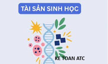 Học kế toán cấp tốc tại thanh hóa Từ ngày 01/01/2026, Thông tư 99/2025/TT-BTC chính thức có hiệu lực và thay thế Thông tư 200/2014/TT-