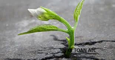Học kế toán thực tế tại thanh hóa Cuộc sống không phải lúc nào cũng trải đầy hoa hồng. Có những ngày ta cảm thấy mệt mỏi, thất vọng vì